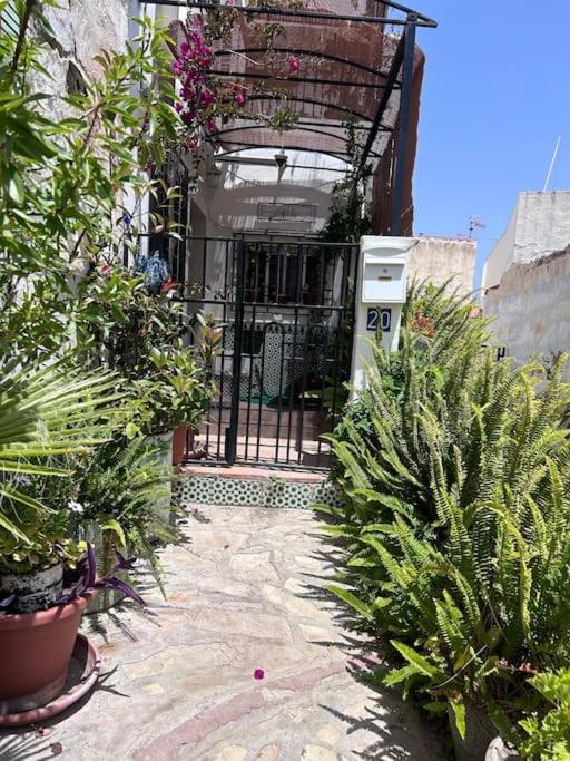 شقة Amazing Sea And Mountain View! Casita Pinata سالوبرينيا المظهر الخارجي الصورة