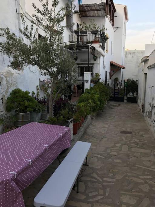 شقة Amazing Sea And Mountain View! Casita Pinata سالوبرينيا المظهر الخارجي الصورة