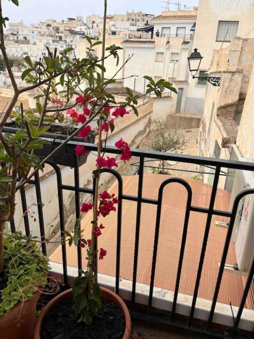 شقة Amazing Sea And Mountain View! Casita Pinata سالوبرينيا المظهر الخارجي الصورة
