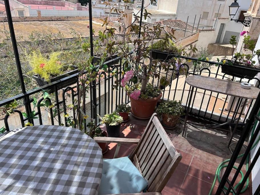 شقة Amazing Sea And Mountain View! Casita Pinata سالوبرينيا المظهر الخارجي الصورة