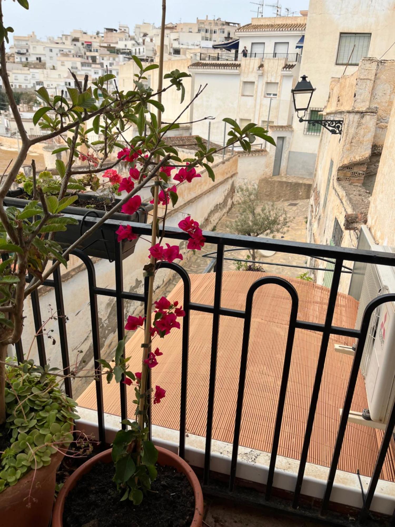 شقة Amazing Sea And Mountain View! Casita Pinata سالوبرينيا المظهر الخارجي الصورة